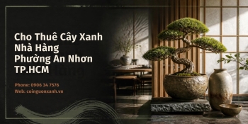 Cho Thuê Cây Xanh Nhà Hàng Ở Phường An Nhơn TP.HCM