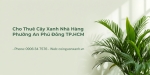 Cho Thuê Cây Xanh Nhà Hàng Ở Phường An Phú Đông TP.HCM – Đẹp, Chuyên Nghiệp