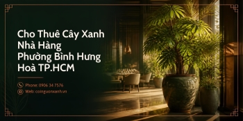 Cho Thuê Cây Xanh Nhà Hàng Ở Phường Bình Hưng Hòa TP.HCM