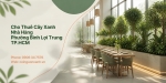 Cho Thuê Cây Xanh Nhà Hàng Ở Phường Bình Lợi Trung TP.HCM