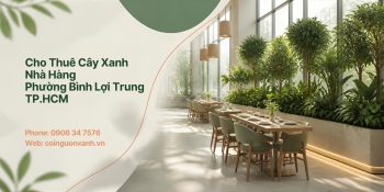 Cho Thuê Cây Xanh Nhà Hàng Ở Phường Bình Lợi Trung TP.HCM