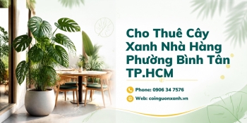 Cho Thuê Cây Xanh Nhà Hàng Ở Phường Bình Tân TP.HCM