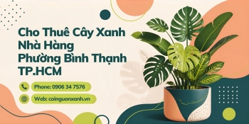Cho Thuê Cây Xanh Nhà Hàng Ở Phường Bình Thạnh TP.HCM