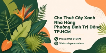 Cho Thuê Cây Xanh Nhà Hàng Ở Phường Bình Trị Đông TP.HCM