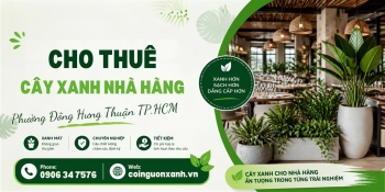 Cho Thuê Cây Xanh Nhà Hàng Ở Phường Đông Hưng Thuận TP.HCM