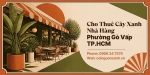 Cho Thuê Cây Xanh Nhà Hàng Ở Phường Gò Vấp TP.HCM – Không Gian Xanh, Sang Trọng