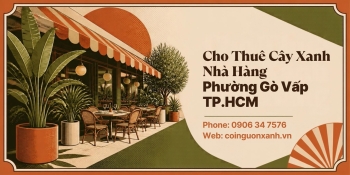 Cho Thuê Cây Xanh Nhà Hàng Ở Phường Gò Vấp TP.HCM – Không Gian Xanh, Sang Trọng