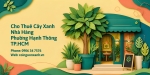 Cho Thuê Cây Xanh Nhà Hàng Ở Phường Hạnh Thông TP.HCM