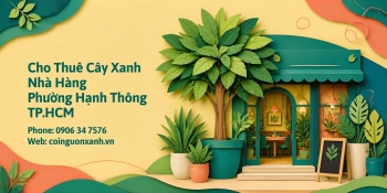 Cho Thuê Cây Xanh Nhà Hàng Ở Phường Hạnh Thông TP.HCM