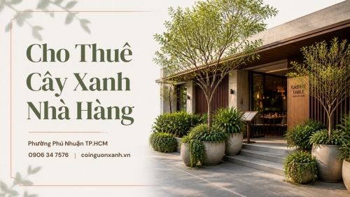 Cho Thuê Cây Xanh Nhà Hàng Ở Phường Phú Nhuận TP.HCM – Không Gian Xanh, Sang Trọng
