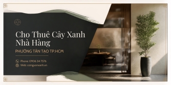 Cho Thuê Cây Xanh Nhà Hàng Ở Phường Tân Tạo TP.HCM
