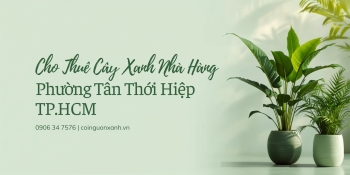 Cho thuê cây xanh nhà hàng tại Phường Tân Thới Hiệp TP.HCM – Không gian xanh, sang trọng