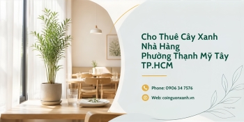 Cho Thuê Cây Xanh Nhà Hàng Ở Phường Thạnh Mỹ Tây TP.HCM
