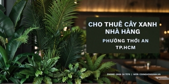 Cho thuê cây xanh nhà hàng ở Phường Thới An TP.HCM – Không gian xanh chuyên nghiệp