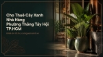 Cho Thuê Cây Xanh Nhà Hàng Ở Phường Thông Tây Hội TP.HCM