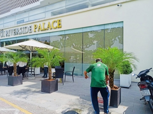 Cung Cấp Dịch Vụ Cho Thuê Cây Xanh Cho Nhà Hàng Tiệc Cưới Riverside Palace Ở Quận 4 TP.HCM