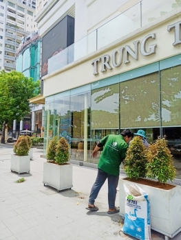 Cho Thuê Cây Xanh Nhà Hàng Tiệc Cưới Ở Phường Khánh Hội TP.HCM