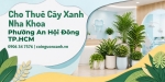 Cho Thuê Cây Xanh Nha Khoa Ở Phường An Hội Đông TP.HCM – Không Gian Xanh, Chuyên Nghiệp