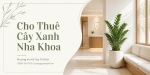 Cho Thuê Cây Xanh Nha Khoa Ở Phường An Hội Tây TP.HCM – Không Gian Xanh, Chuyên Nghiệp