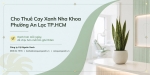 Cho thuê cây xanh nha khoa ở Phường An Lạc TP.HCM – Đẹp, sạch, chuyên nghiệp
