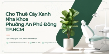 Cho thuê cây xanh nha khoa ở Phường An Phú Đông TP.HCM – Chuyên nghiệp, xanh đẹp