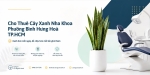 Cho Thuê Cây Xanh Nha Khoa Ở Phường Bình Hưng Hòa TP.HCM