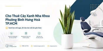 Cho Thuê Cây Xanh Nha Khoa Ở Phường Bình Hưng Hòa TP.HCM