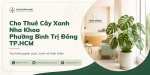 Cho Thuê Cây Xanh Nha Khoa Ở Phường Bình Trị Đông TP.HCM