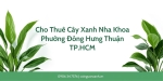 Cho thuê cây xanh nha khoa tại Phường Đông Hưng Thuận TP.HCM