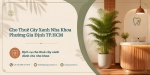Cho Thuê Cây Xanh Nha Khoa Ở Phường Gia Định TP.HCM