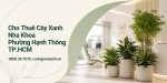 Cho thuê cây xanh nha khoa ở Phường Hạnh Thông TP.HCM