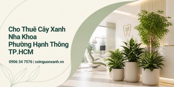 Cho thuê cây xanh nha khoa ở Phường Hạnh Thông TP.HCM