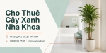 Cho Thuê Cây Xanh Nha Khoa Ở Phường Phú Nhuận TP.HCM – Không Gian Xanh, Chuyên Nghiệp