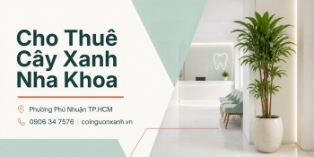Cho Thuê Cây Xanh Nha Khoa Ở Phường Phú Nhuận TP.HCM – Không Gian Xanh, Chuyên Nghiệp