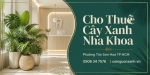 Cho Thuê Cây Xanh Nha Khoa Ở Phường Tân Sơn Hòa TP.HCM – Cội Nguồn Xanh