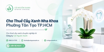 Cho thuê cây xanh nha khoa ở Phường Tân Tạo TP.HCM