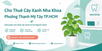 Cho thuê cây xanh nha khoa ở Phường Thạnh Mỹ Tây TP.HCM – Không gian xanh chuyên nghiệp