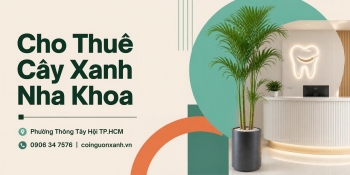 Cho thuê cây xanh nha khoa ở Phường Thông Tây Hội TP.HCM – Không gian xanh chuyên nghiệp, thân thiện