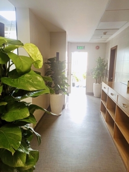 Thuê Cây Xanh Để Giải Hạn Văn Phòng Bí Khí