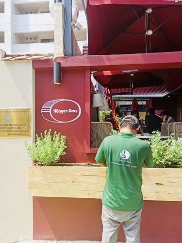 Cho thuê cây xanh quán kem Häagen-Dazs ở Phường Sài Gòn TP.HCM