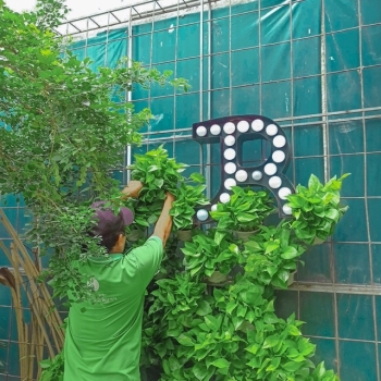 Cho Thuê Cây Xanh Trang Trí Quán Cà Phê 2025 – Bí Quyết Tạo Không Gian Chill