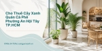 Cho Thuê Cây Xanh Quán Cà Phê Ở Phường An Hội Tây TP.HCM – Không Gian Xanh Đẹp, Thu Hút Khách Hàng