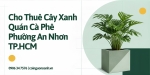 Cho thuê cây xanh quán cà phê ở Phường An Nhơn TP.HCM
