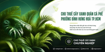Cho Thuê Cây Xanh Quán Cà Phê Ở Phường Bình Hưng Hòa TP.HCM