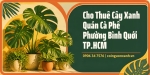 Cho Thuê Cây Xanh Quán Cà Phê Ở Phường Bình Quới TP.HCM