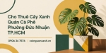 Cho Thuê Cây Xanh Quán Cà Phê Ở Phường Đức Nhuận TP.HCM – Không Gian Xanh, Thu Hút Khách Hàng