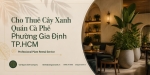 Cho Thuê Cây Xanh Quán Cà Phê Ở Phường Gia Định TP.HCM