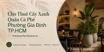 Cho Thuê Cây Xanh Quán Cà Phê Ở Phường Gia Định TP.HCM