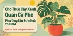 Cho Thuê Cây Xanh Quán Cà Phê Ở Phường Tân Sơn Hòa TP.HCM