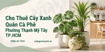 Cho Thuê Cây Xanh Quán Cà Phê Ở Phường Thạnh Mỹ Tây TP.HCM